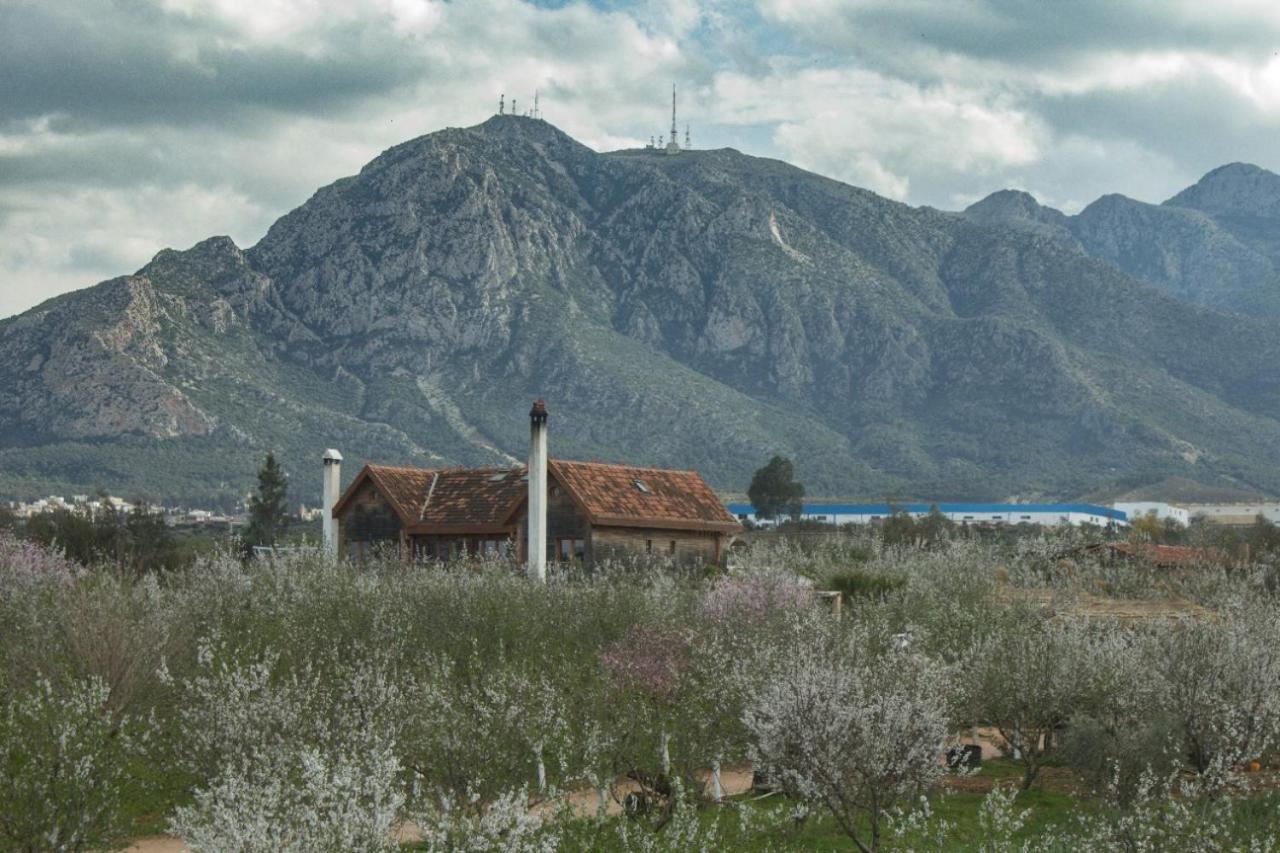 Dar Zaghouan Otel Dış mekan fotoğraf